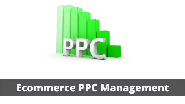 Ecommerce PPC Management