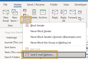 Junk-E-mail-Options 1