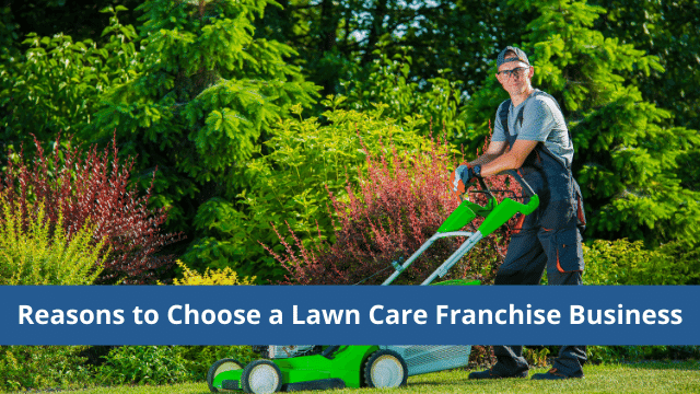 Reasons to Choose a Lawn Care Franchise Business