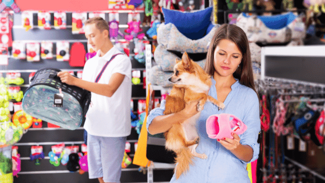 Why Is It Convenient To Shop Pet Supplies Online