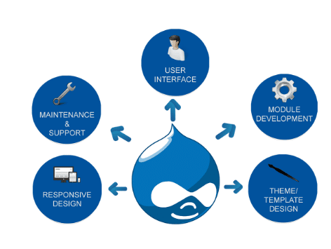 Reasons Why You Should Use Drupal For Your Website