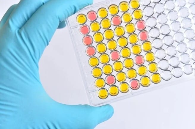 The Advantages Of Live Cell Multiplex Assays In Biological Research