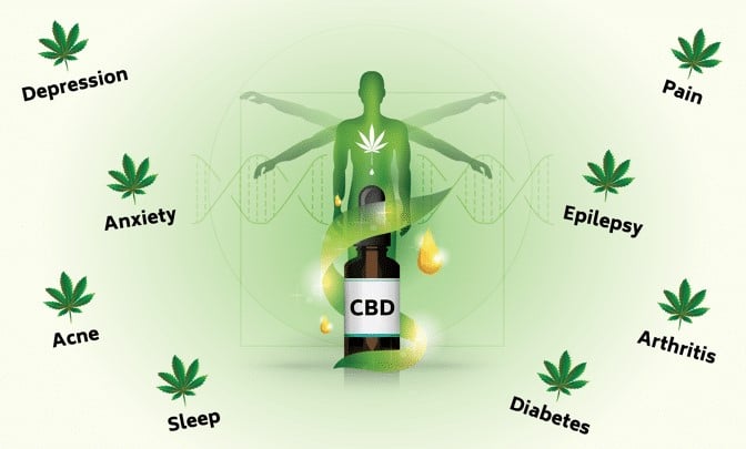 The effects of CBD